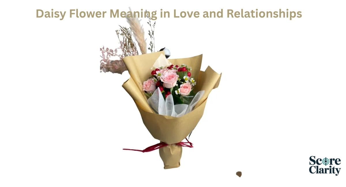 Daisy Flower Meaning in Love and Relationships