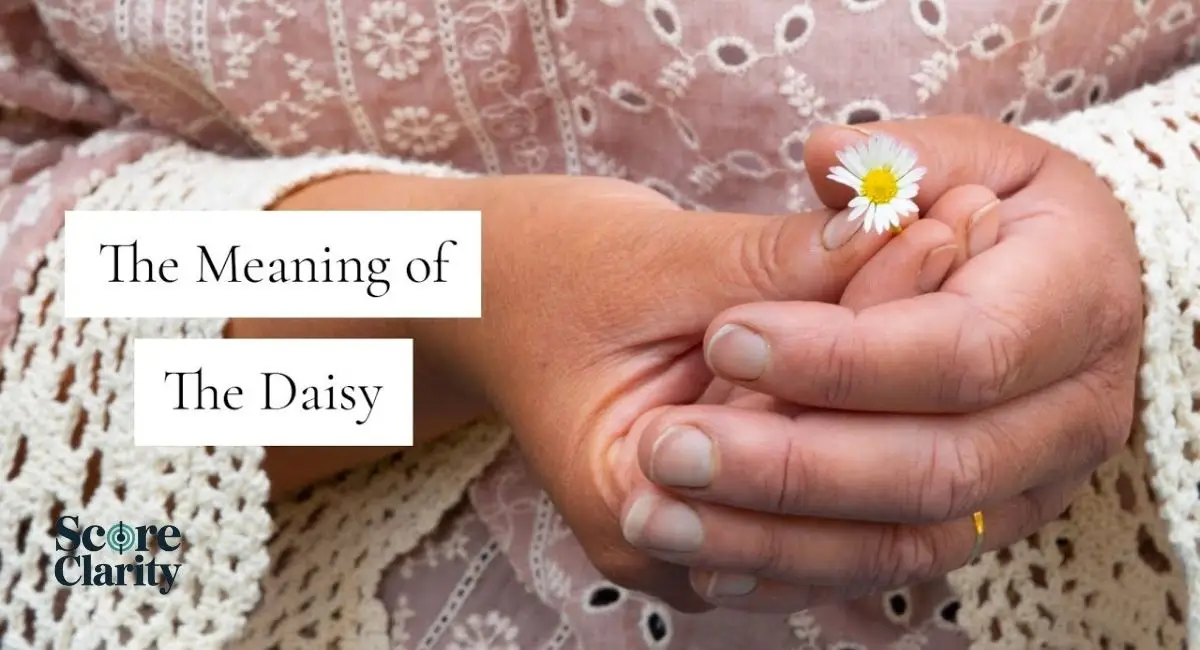 Daisy Flower Meaning