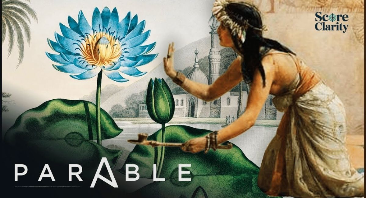 Daisy Mythology and Ancient Beliefs