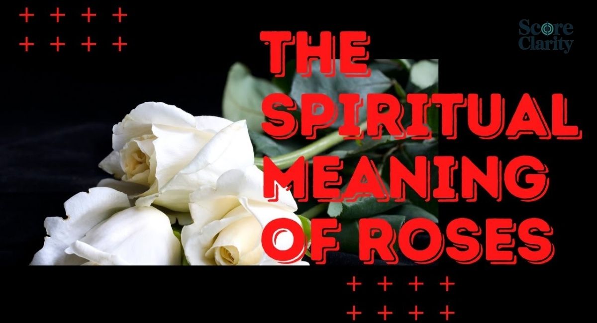 Spiritual Meaning of Daisy in Christianity