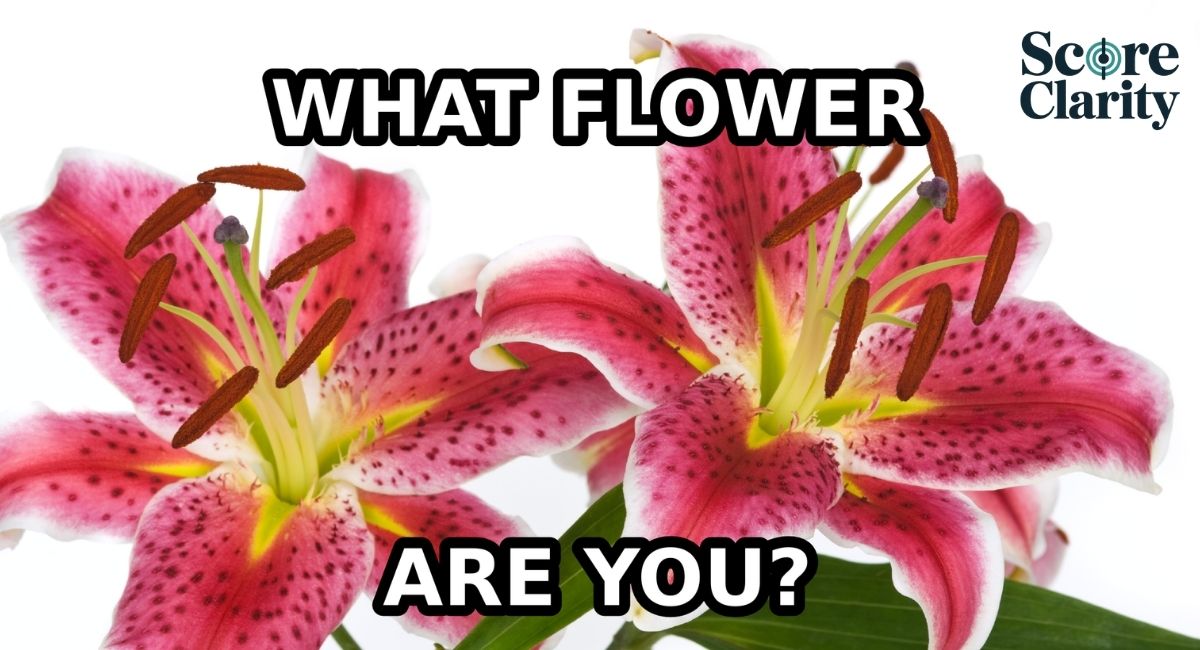 What Are Flowers