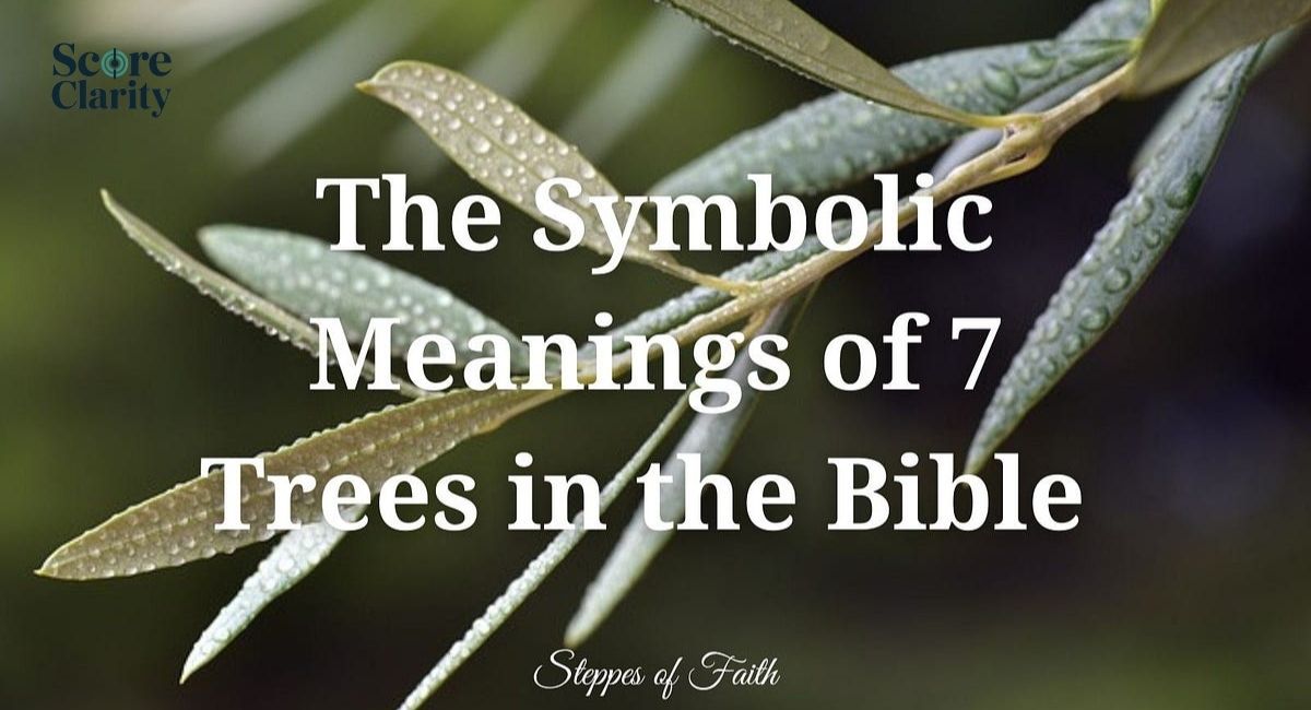 What Does Daisy Symbolize in the Bible?