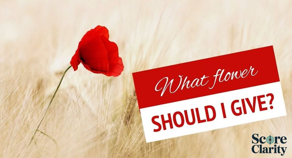 When to Give Daisy Flowers to Someone You Love or Appreciate